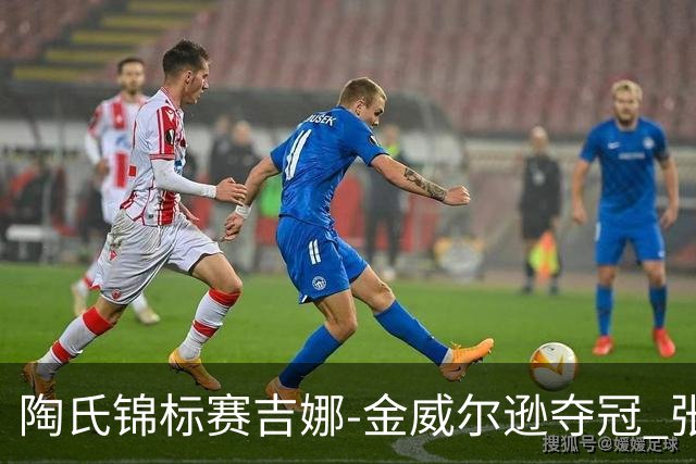 陶氏锦标赛吉娜-金/威尔逊夺冠 张维维/张雅惠T12